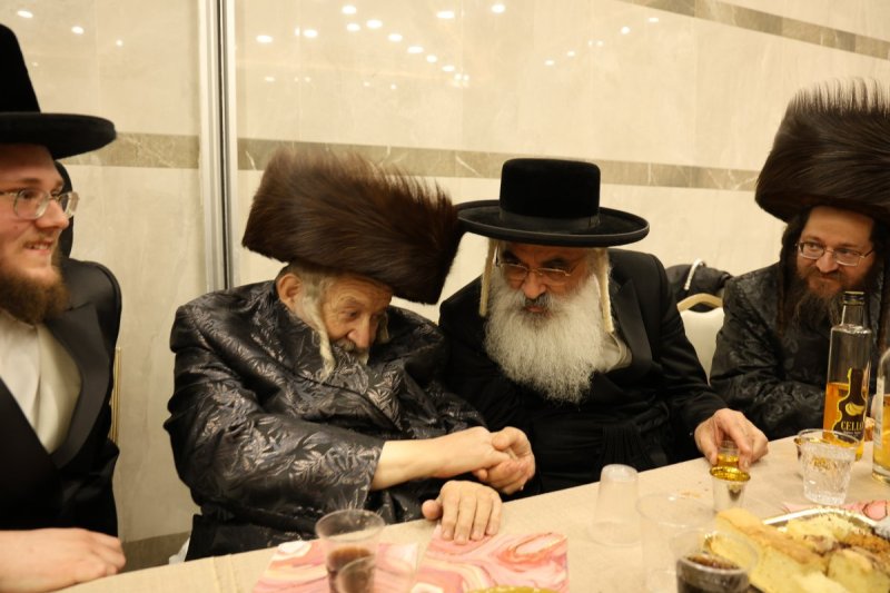 נתי אמרגי