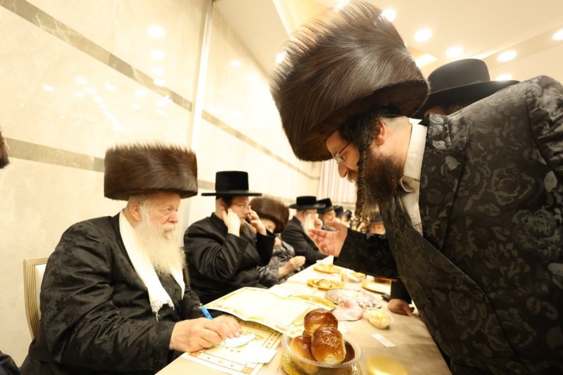 נתי אמרגי