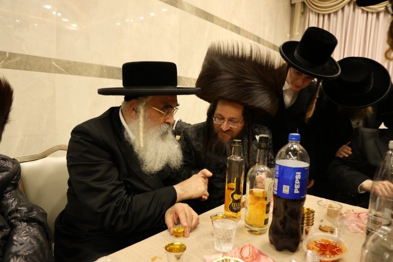נתי אמרגי