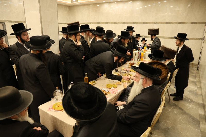 נתי אמרגי