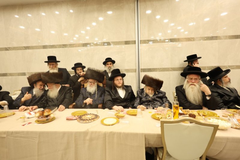 נתי אמרגי