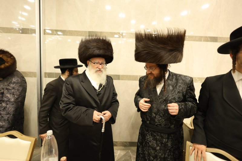 נתי אמרגי