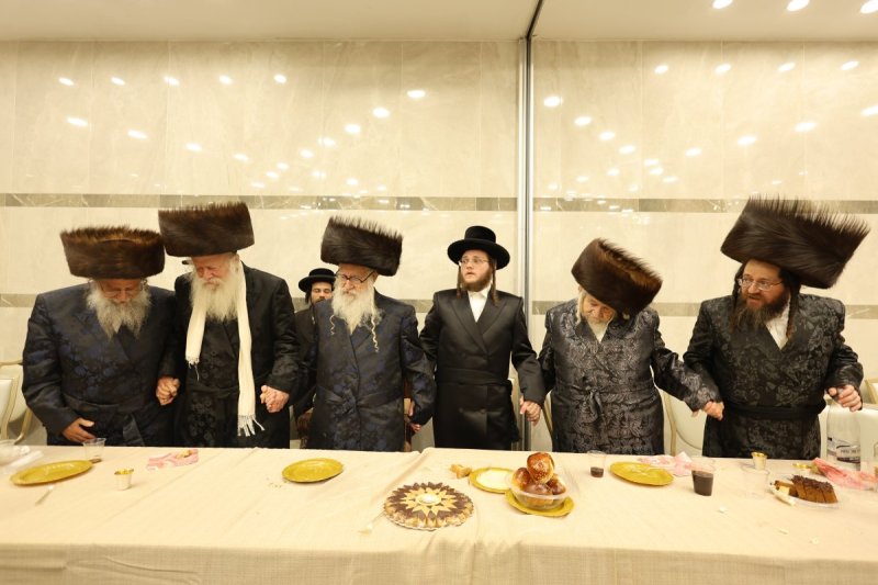 נתי אמרגי