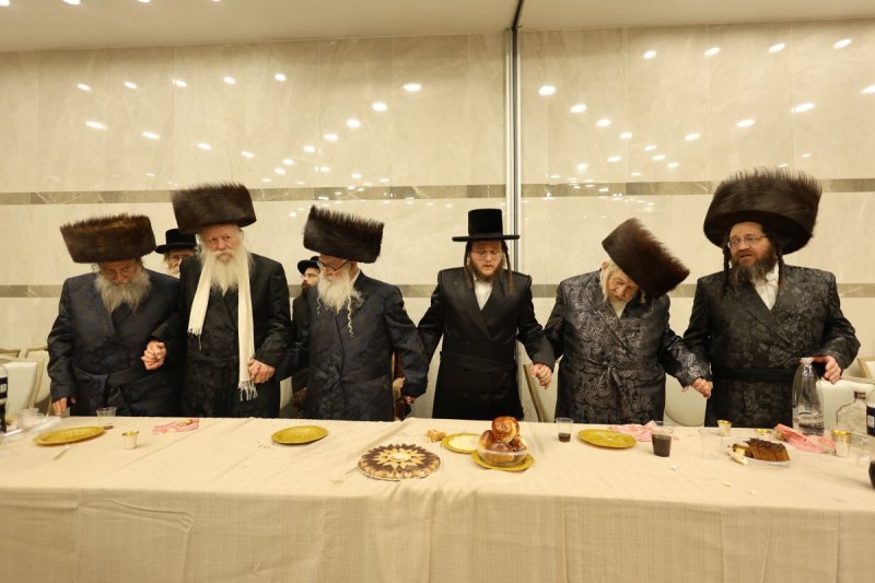 נתי אמרגי