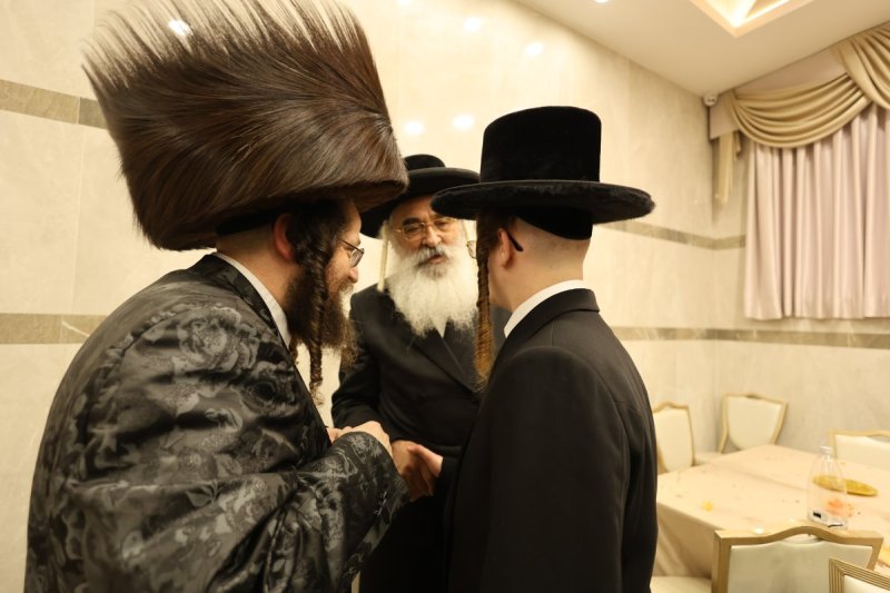 נתי אמרגי