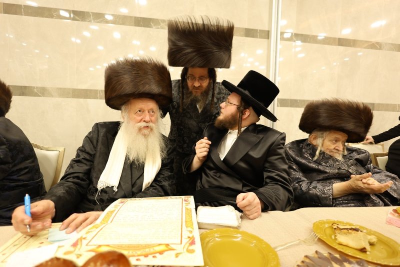 נתי אמרגי