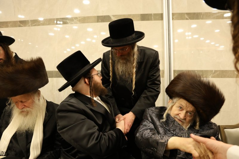 נתי אמרגי