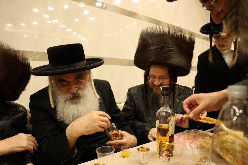 נתי אמרגי