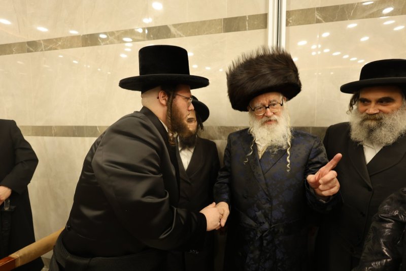 נתי אמרגי