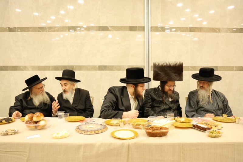 נתי אמרגי
