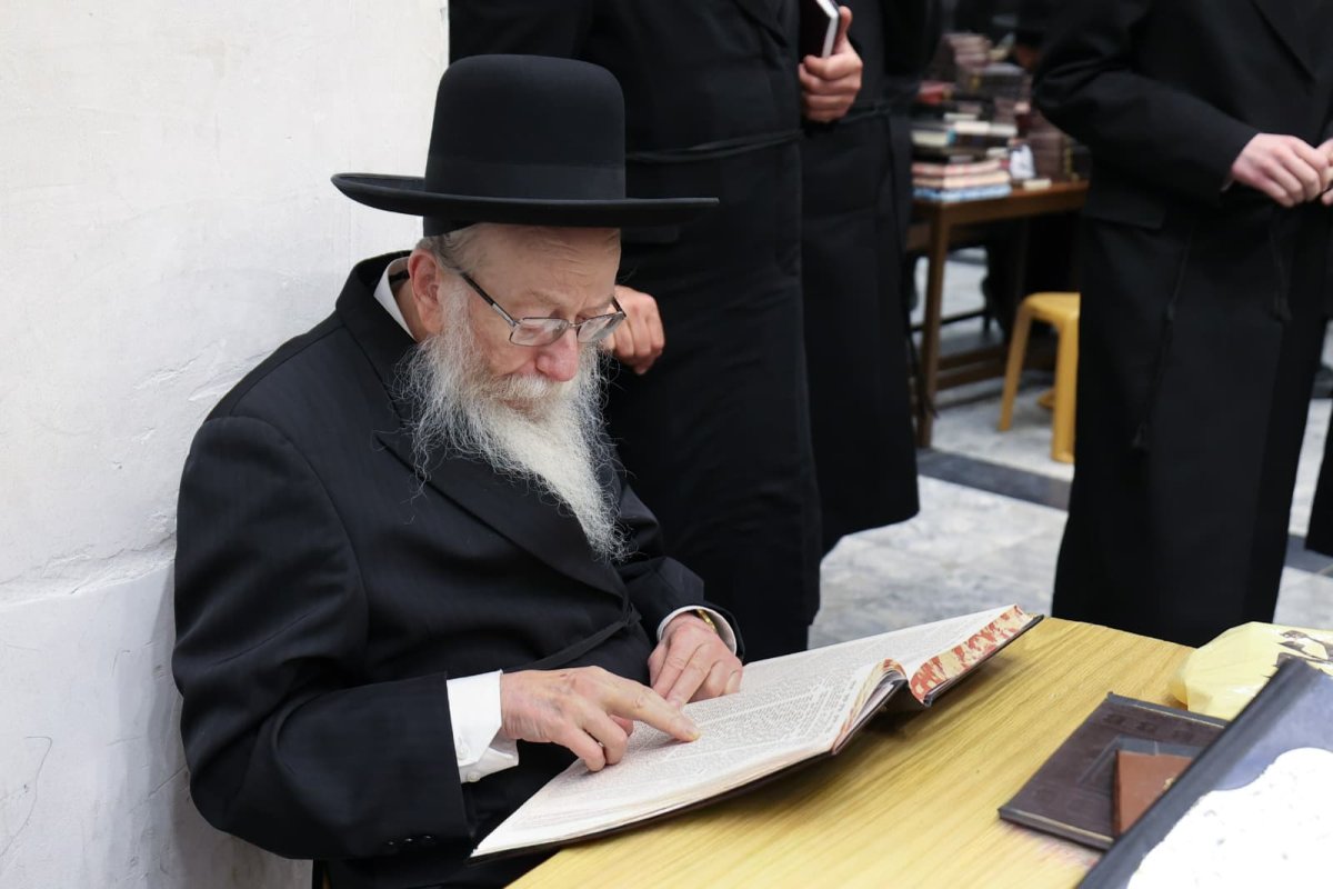 קובי כץ