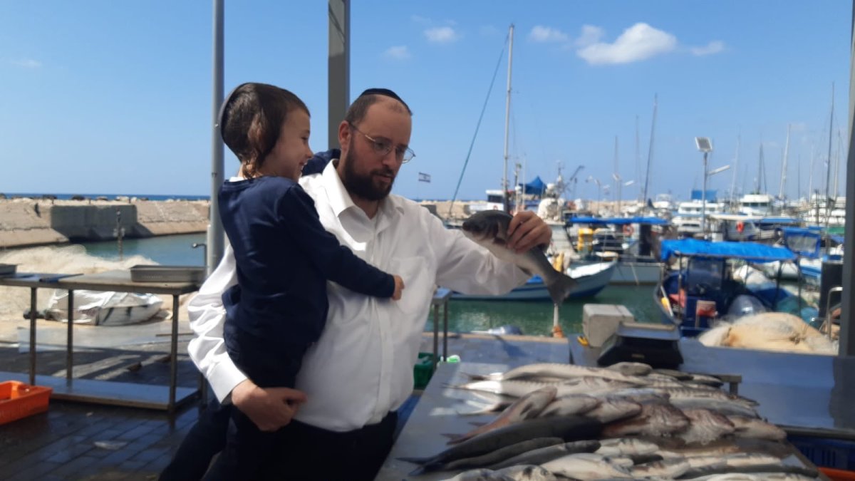 הפרגוד