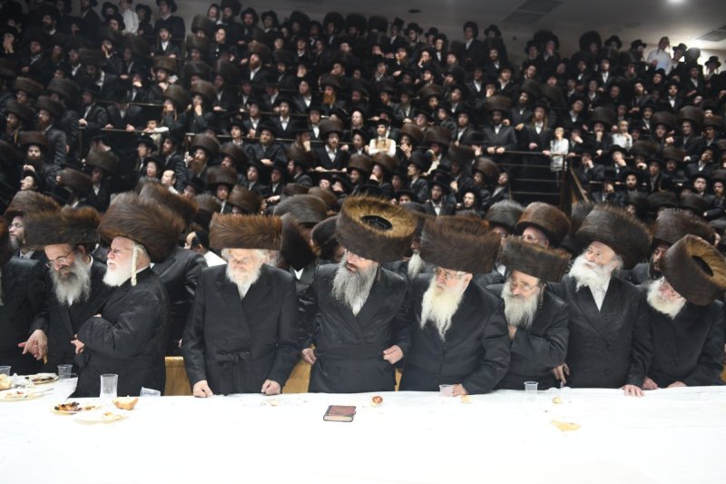 אנשיל בעק וא.מ.ש