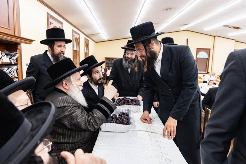 באדיבות המצלם