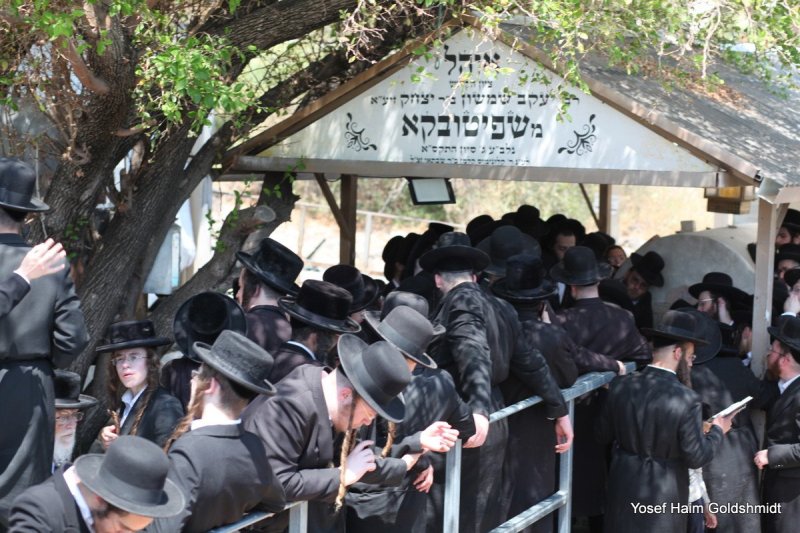 יוסף חיים גולדשמידט