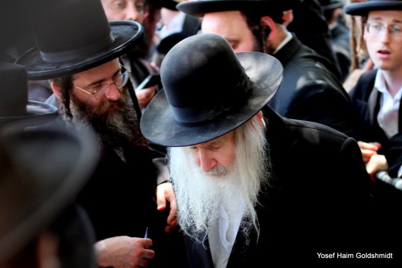 יוסף חיים גולדשמידט