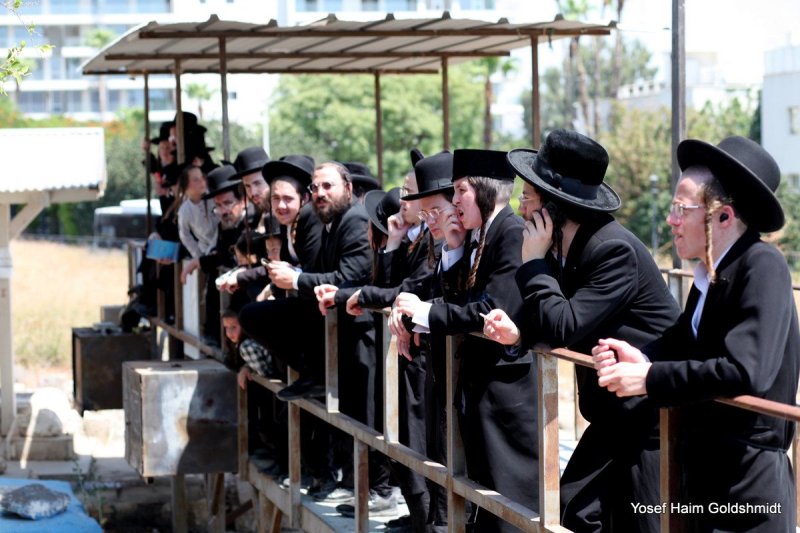 יוסף חיים גולדשמידט
