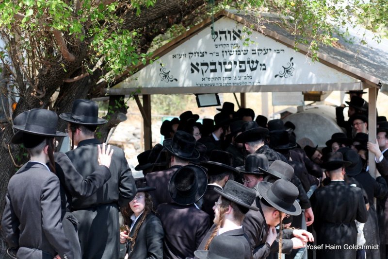 יוסף חיים גולדשמידט