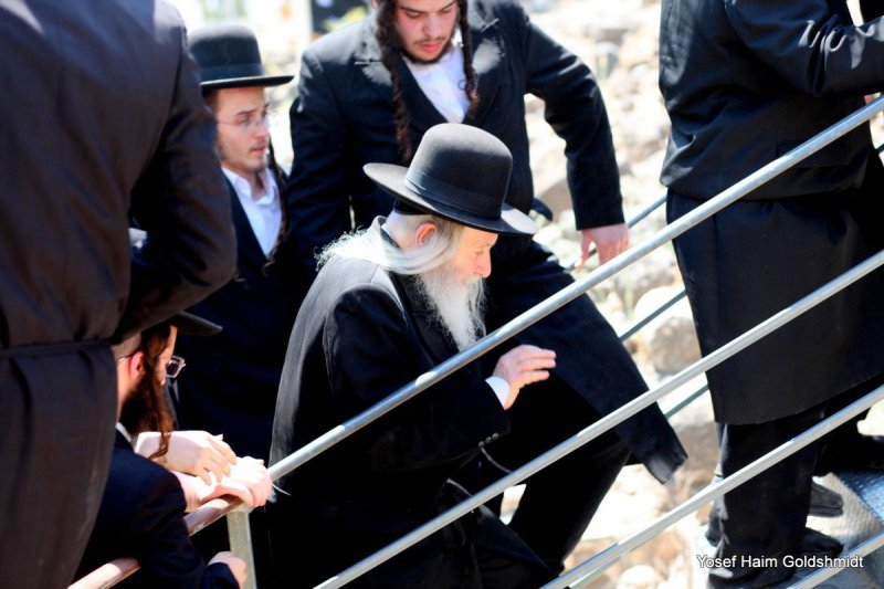יוסף חיים גולדשמידט