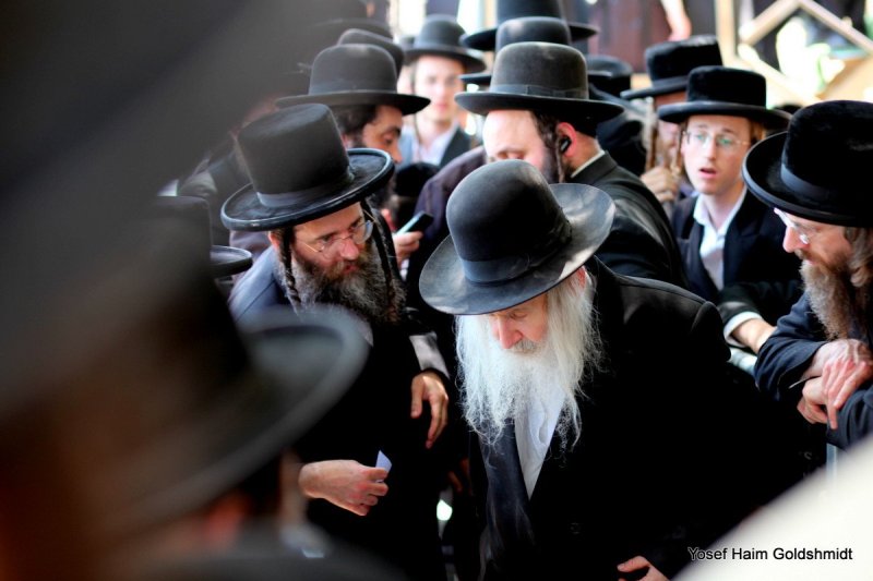 יוסף חיים גולדשמידט