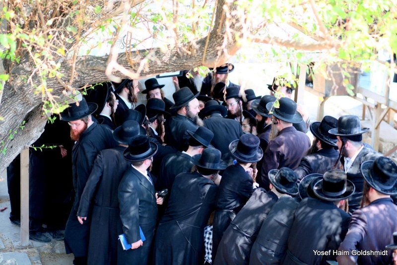 יוסף חיים גולדשמידט