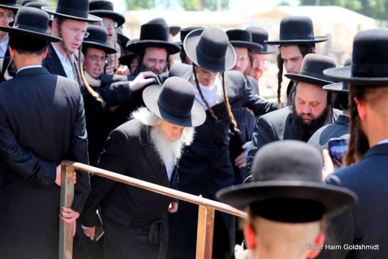 יוסף חיים גולדשמידט