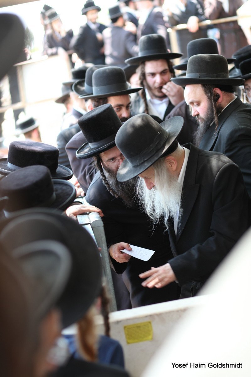 יוסף חיים גולדשמידט