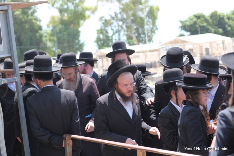יוסף חיים גולדשמידט
