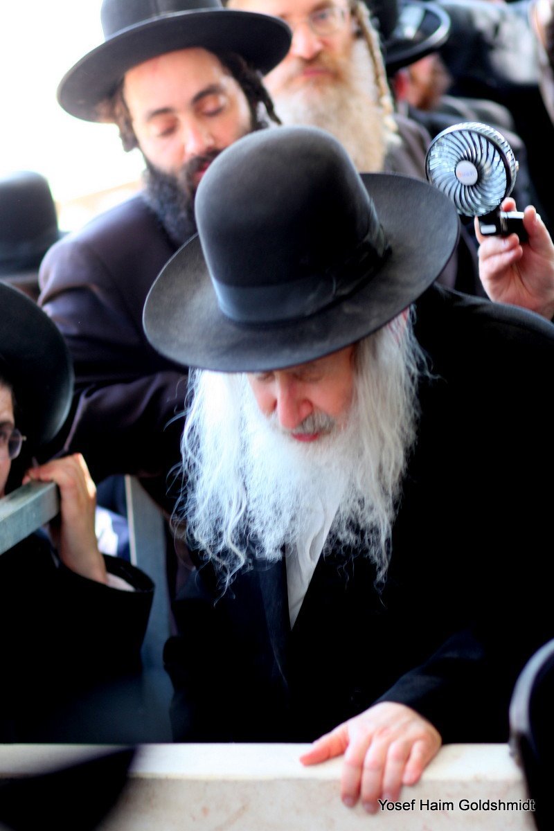 יוסף חיים גולדשמידט