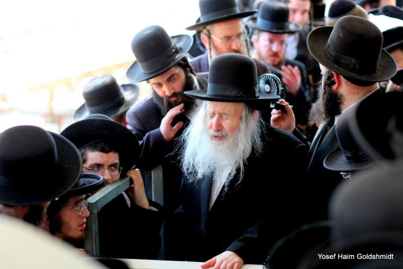 יוסף חיים גולדשמידט