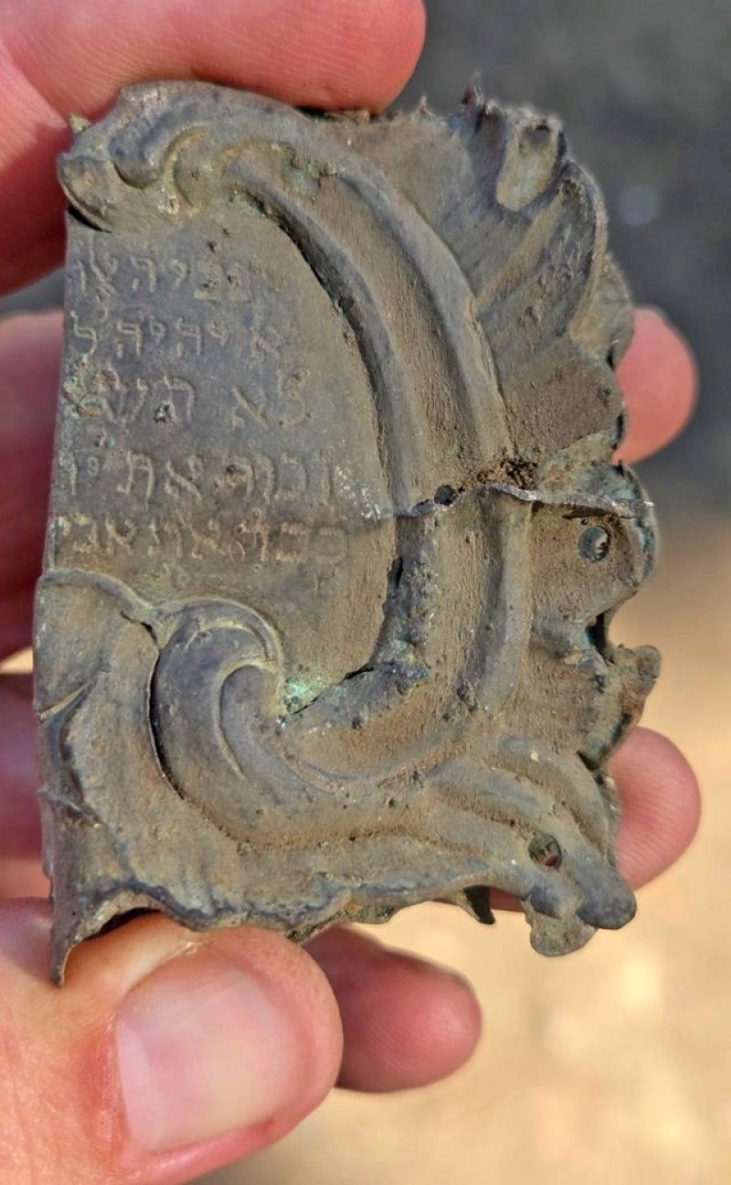 ג'ון זליגמן רשות העתיקות
