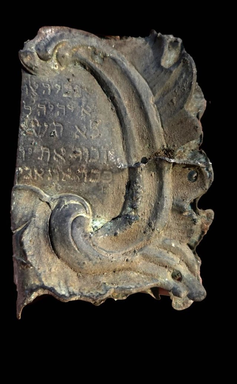ג'ון זליגמן רשות העתיקות