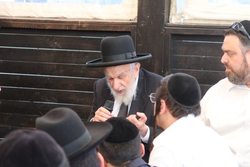 ש.פ.ה