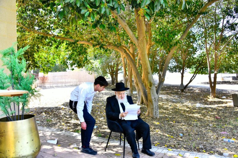 שוקי לרר
