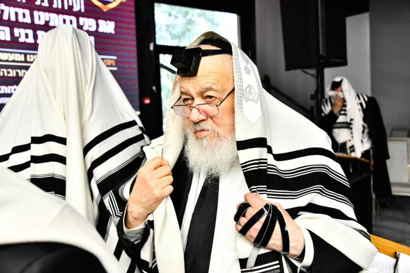 שוקי לרר