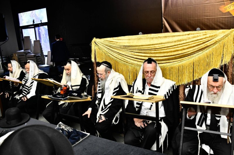 שוקי לרר