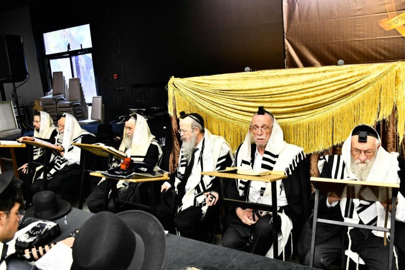 שוקי לרר