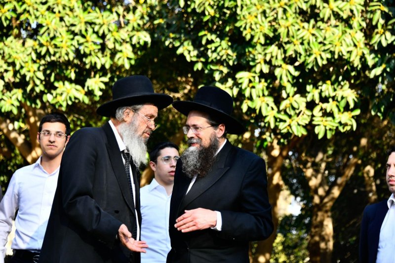 שוקי לרר