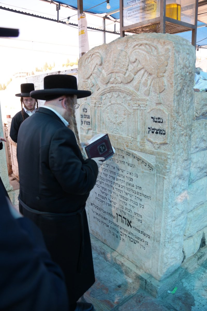 יוחנן לוסטיג ודודי סגל