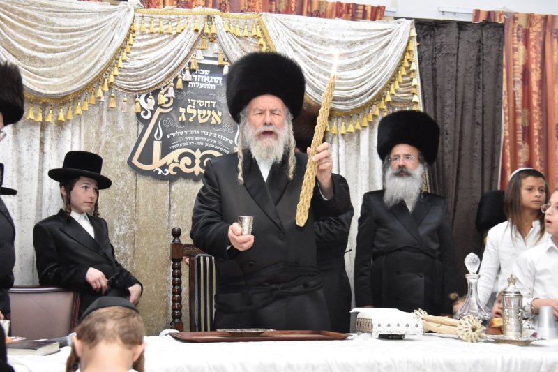 יהודה פרקוביץ