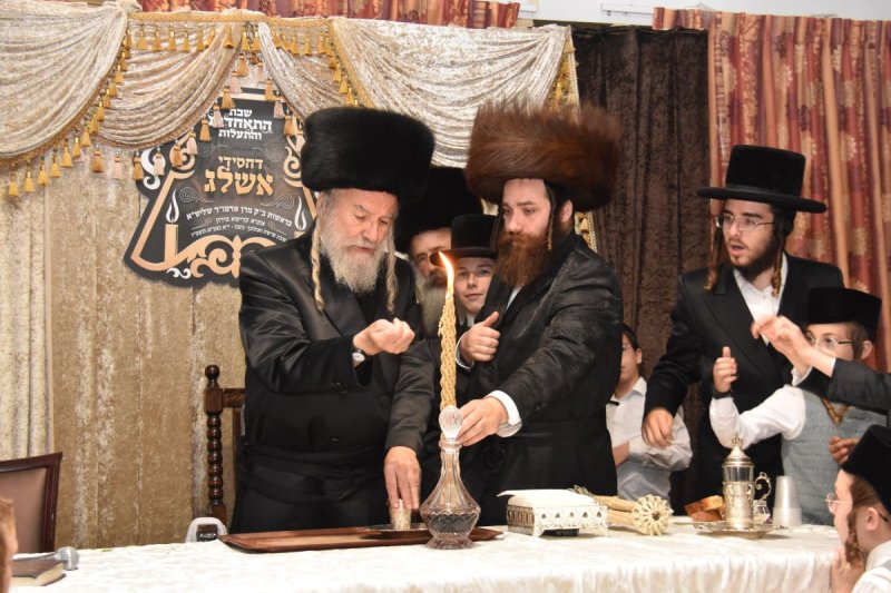 יהודה פרקוביץ