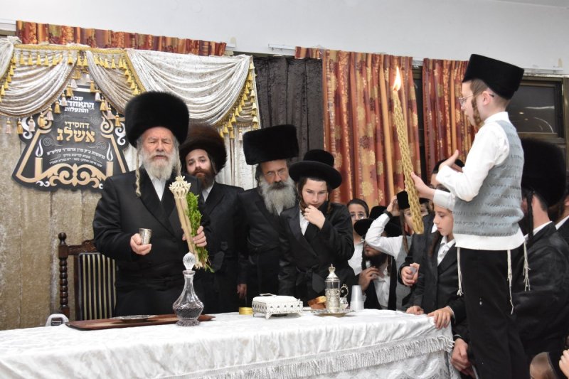 יהודה פרקוביץ