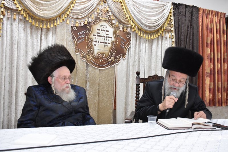 יהודה פרקוביץ