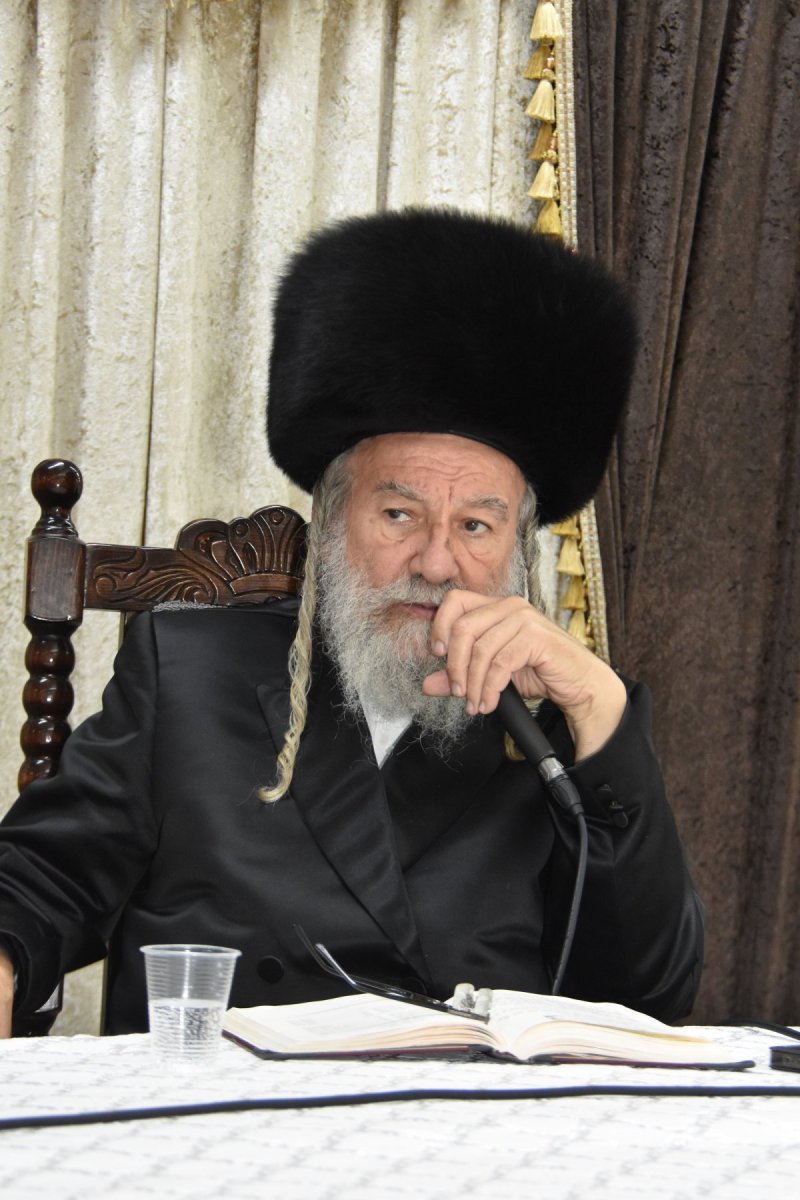 יהודה פרקוביץ