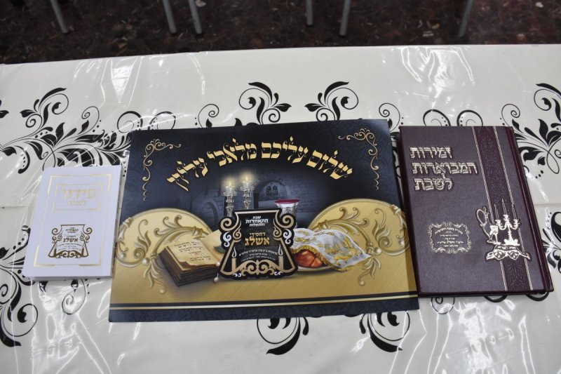 יהודה פרקוביץ