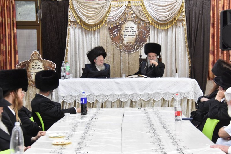 יהודה פרקוביץ