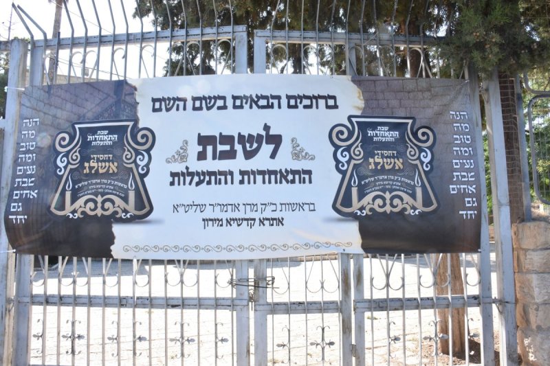 יהודה פרקוביץ