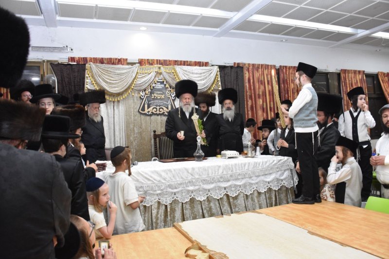 יהודה פרקוביץ