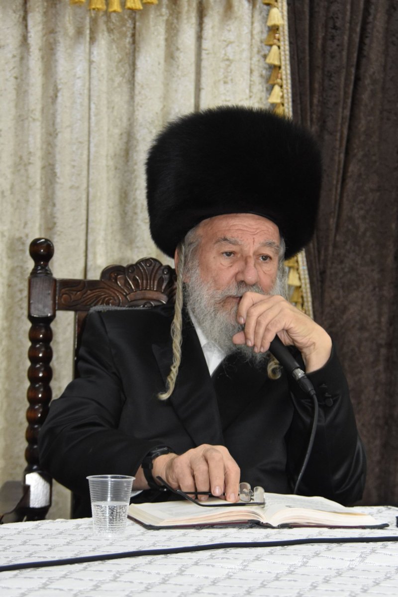 יהודה פרקוביץ