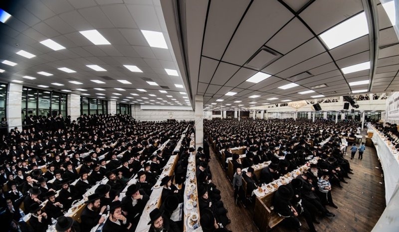 י. שטיין